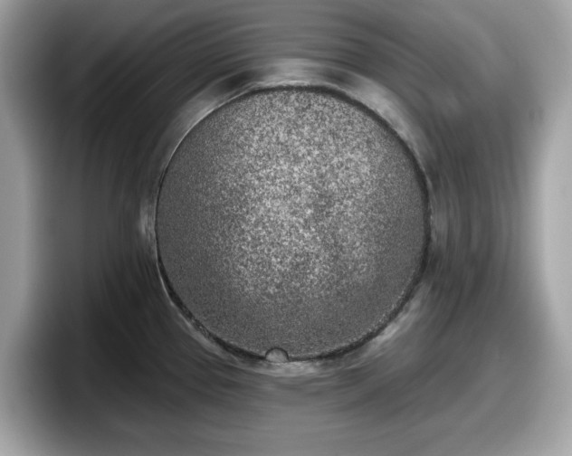 X0000098111337200804111047