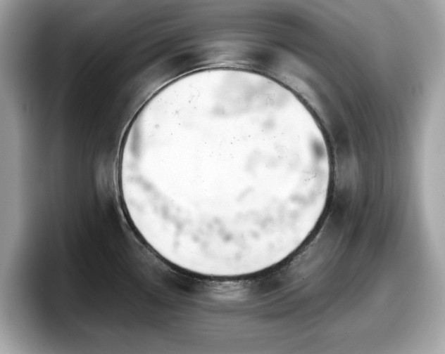 X0000098111338200804111047