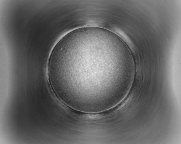 X0000098111340200804111047