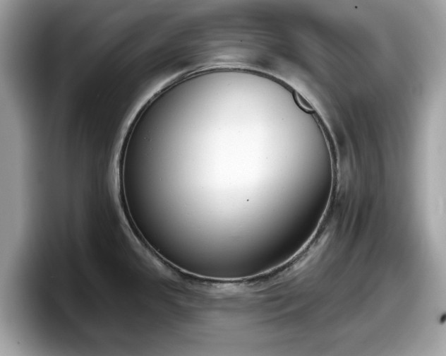X0000098111341200804111047
