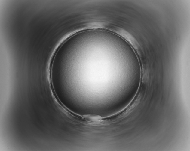 X0000098111342200804111047