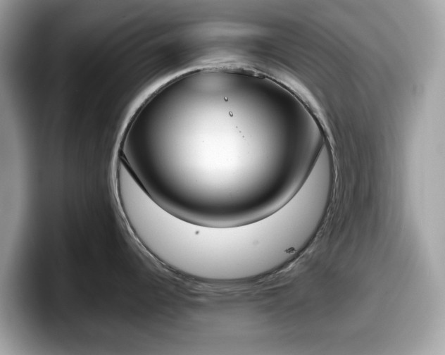 X0000098111344200804111047