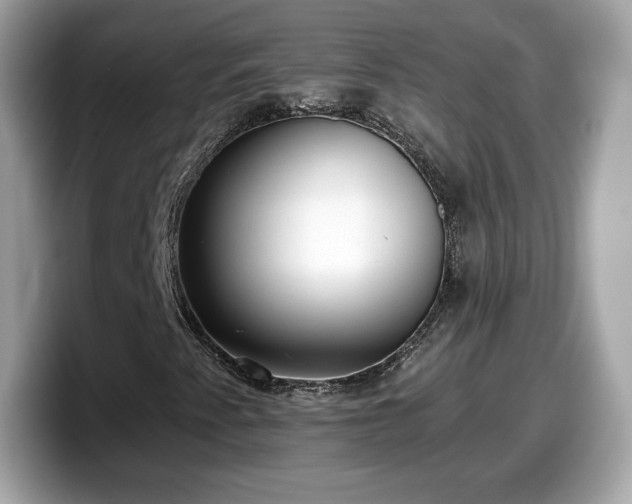 X0000098111345200804111047