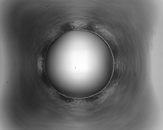 X0000098111346200804111047