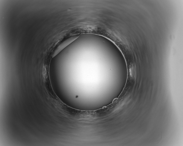 X0000098111347200804111047