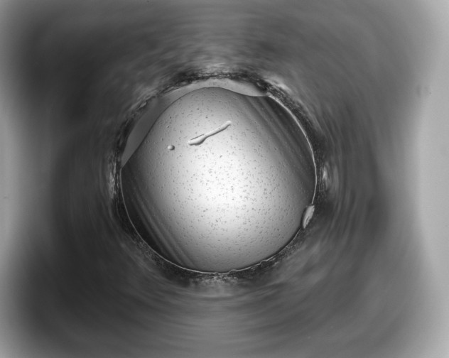 X0000098111348200804111047