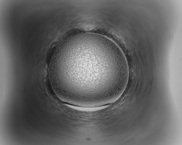 X0000098111349200804111047