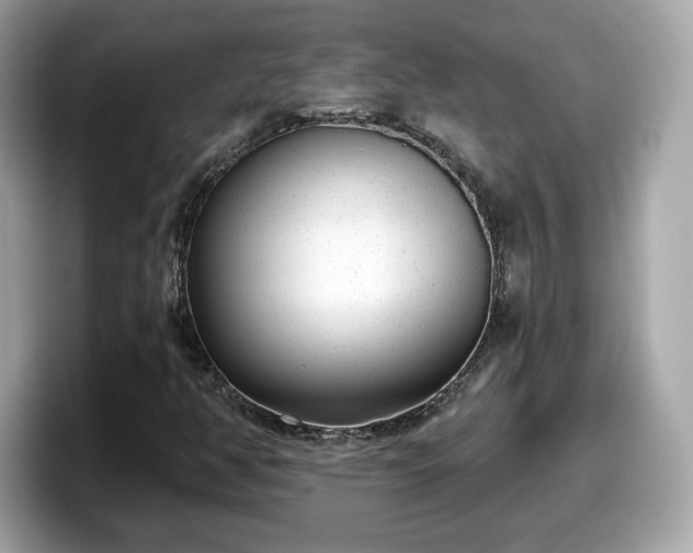 X0000098111350200804111047