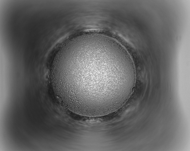 X0000098111351200804111047
