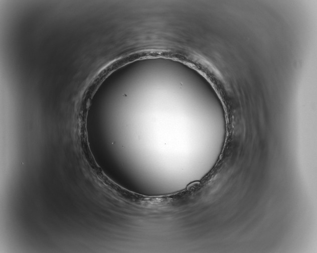 X0000098111352200804111047