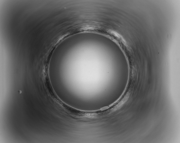 X0000098111353200804111047