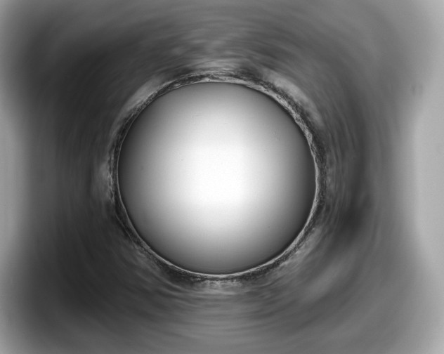 X0000098111354200804111047