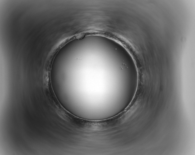 X0000098111355200804111047