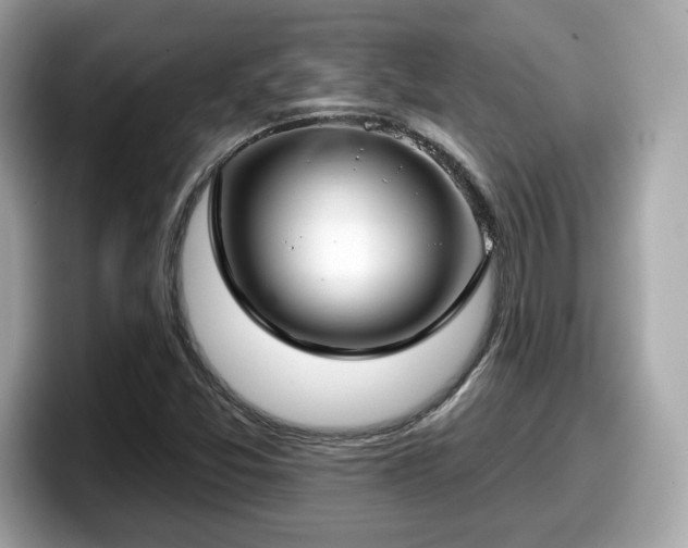 X0000098111357200804111047