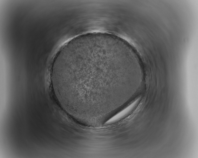 X0000098111359200804111047