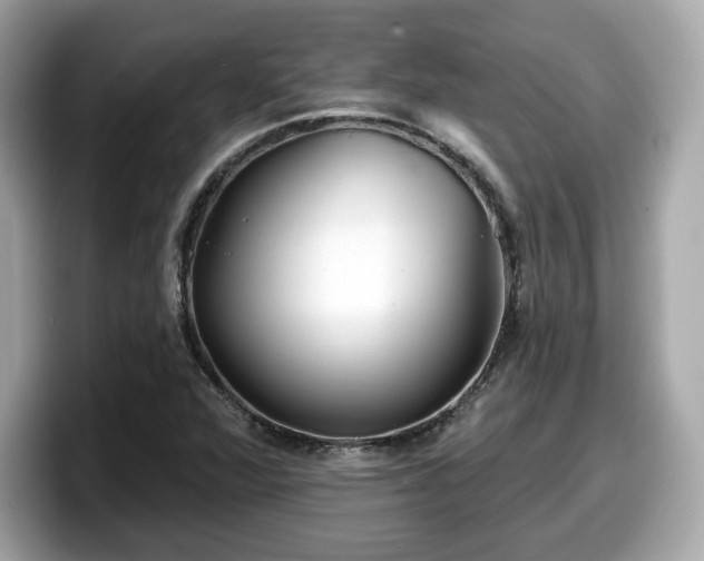 X0000098111360200804111047
