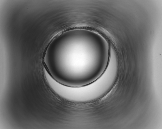 X0000098111361200804111047