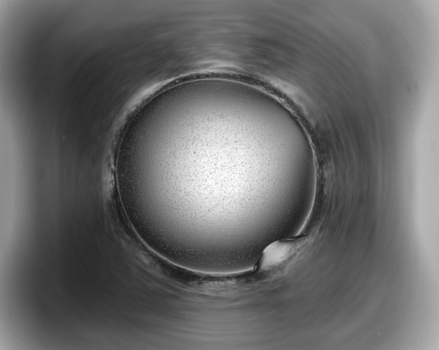 X0000098111363200804111047