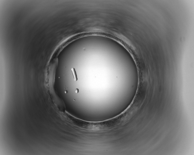X0000098111364200804111047