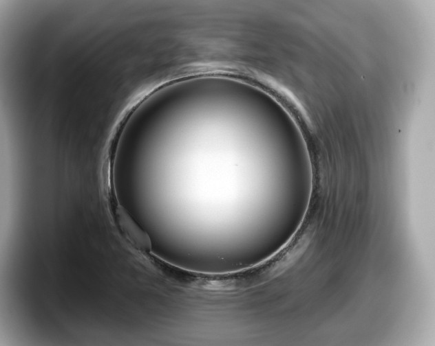 X0000098111365200804111047
