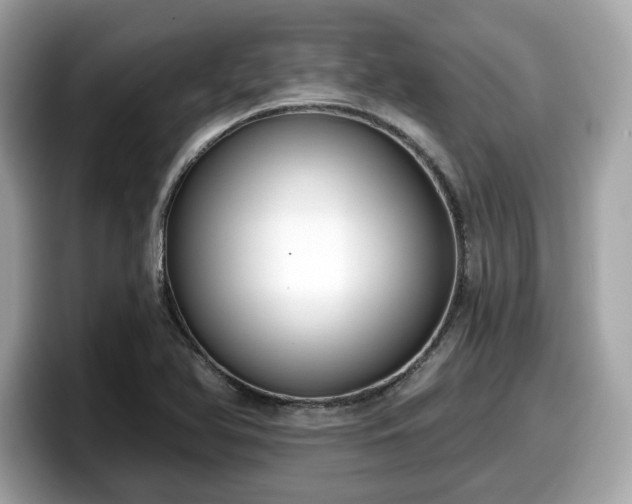 X0000098111366200804111047