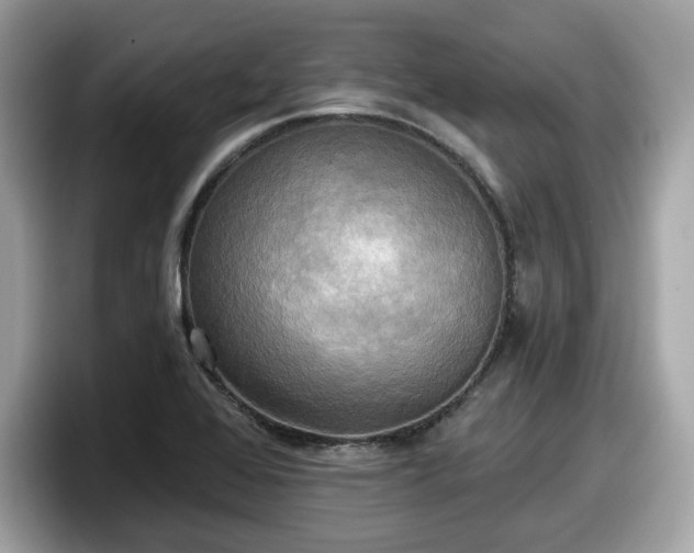 X0000098111368200804111047