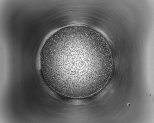 X0000098111371200804111047