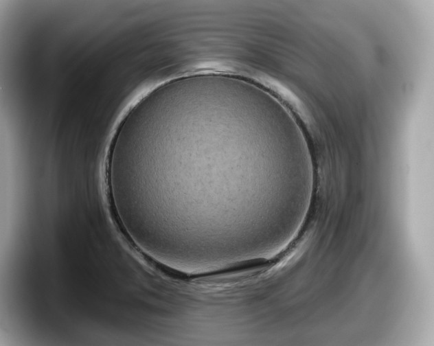 X0000098111373200804111047
