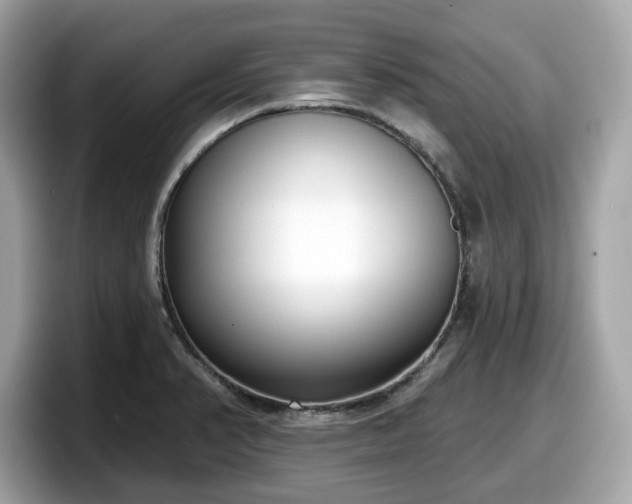 X0000098111374200804111047