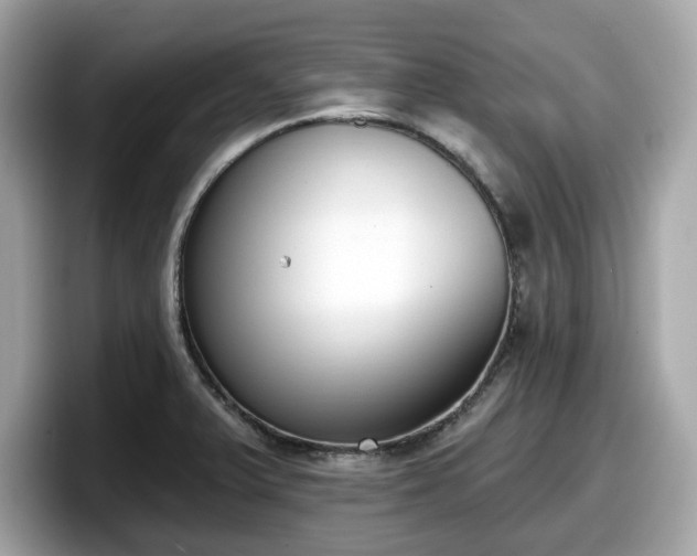 X0000098111375200804111046