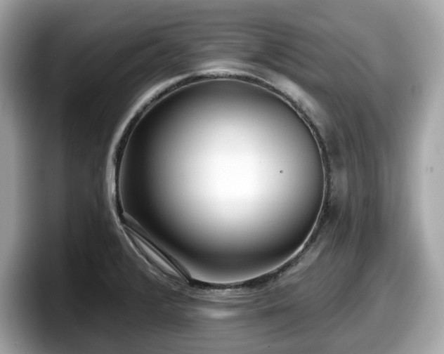 X0000098111376200804111046