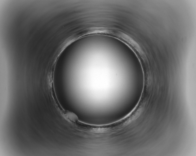 X0000098111377200804111046