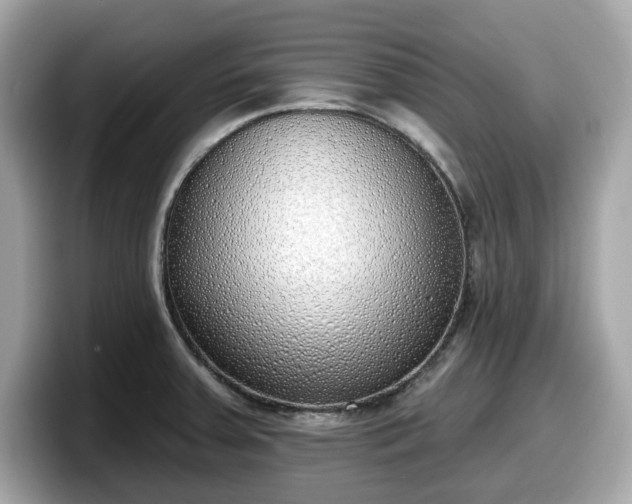 X0000098111379200804111046