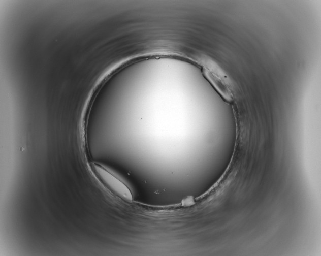 X0000098111380200804111046