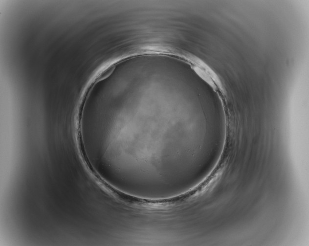 X0000098111381200804111046