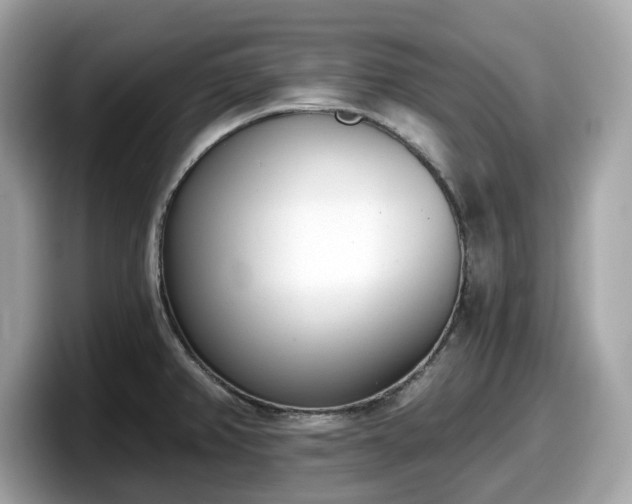 X0000098111382200804111046