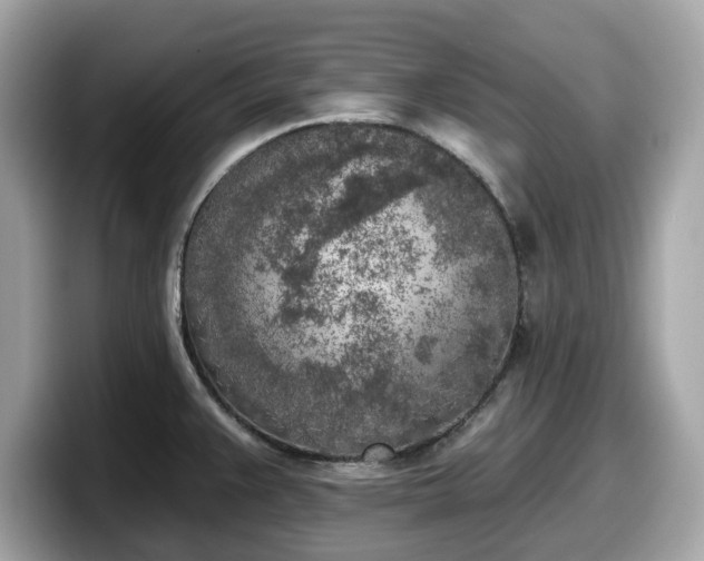 X0000098111383200804111046