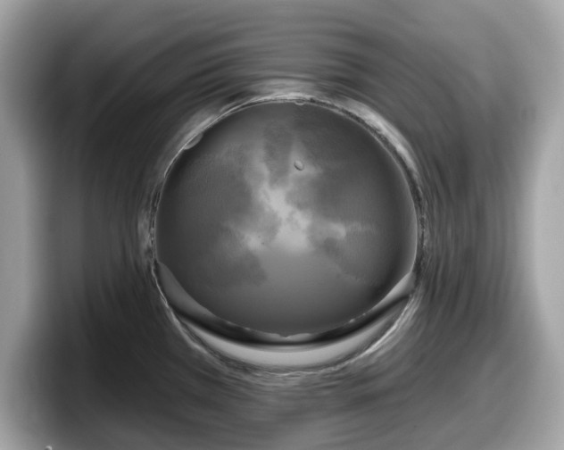 X0000098111385200804111046