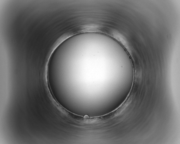 X0000098111386200804111046