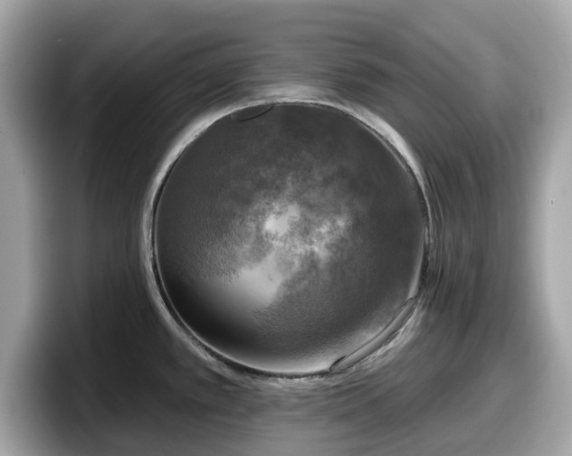 X0000098111389200804111046