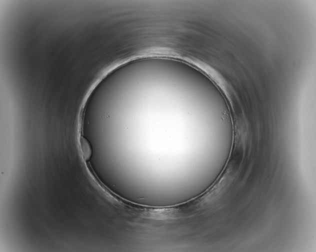 X0000098111390200804111046