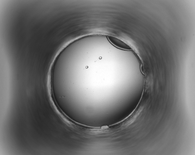 X0000098111391200804111046