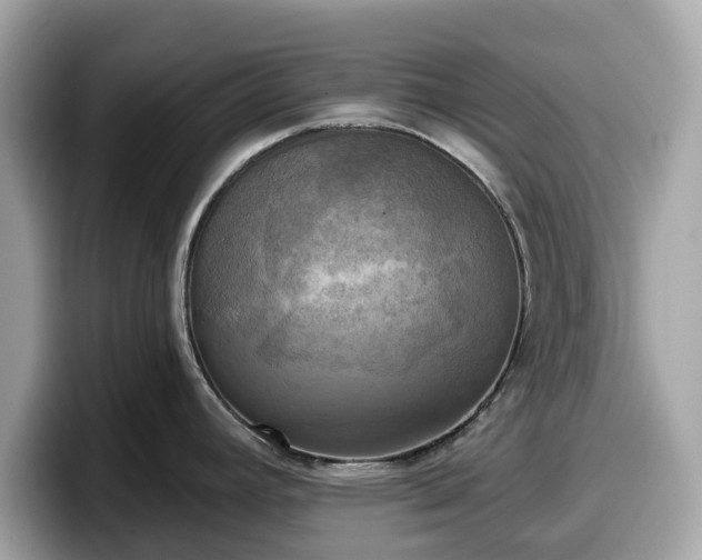 X0000098111392200804111046