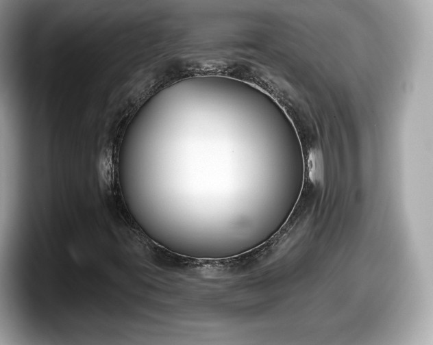 X0000098111395200804111046