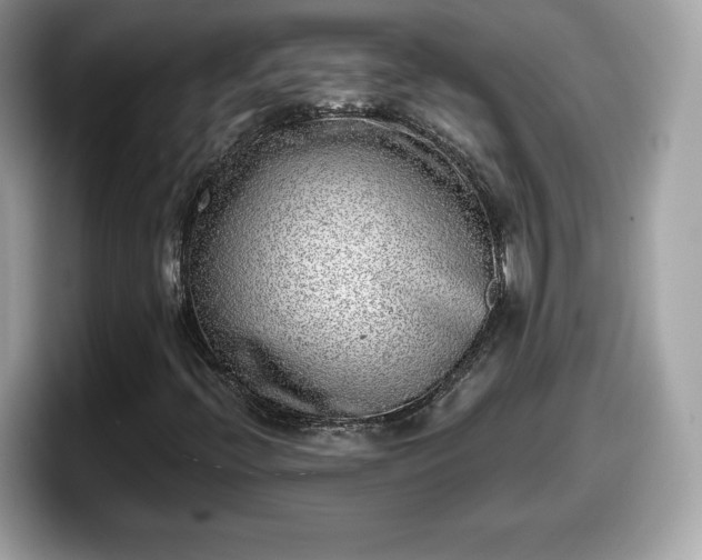 X0000098111396200804111046