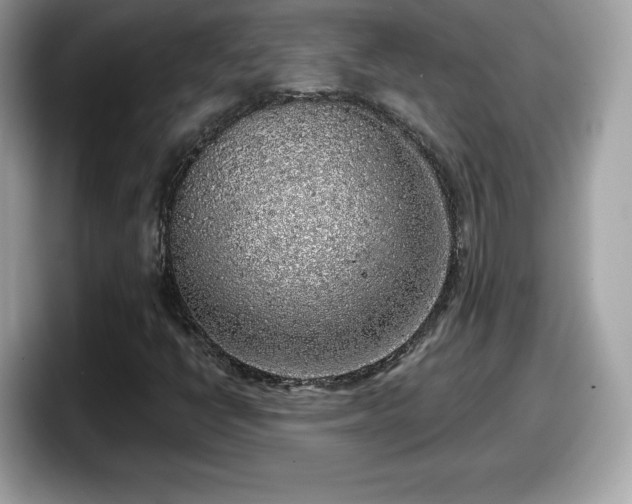 X0000098111398200804111046
