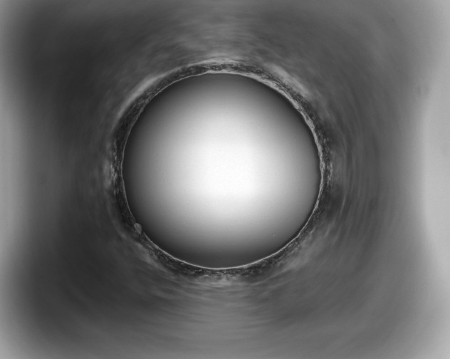 X0000098111400200804111046