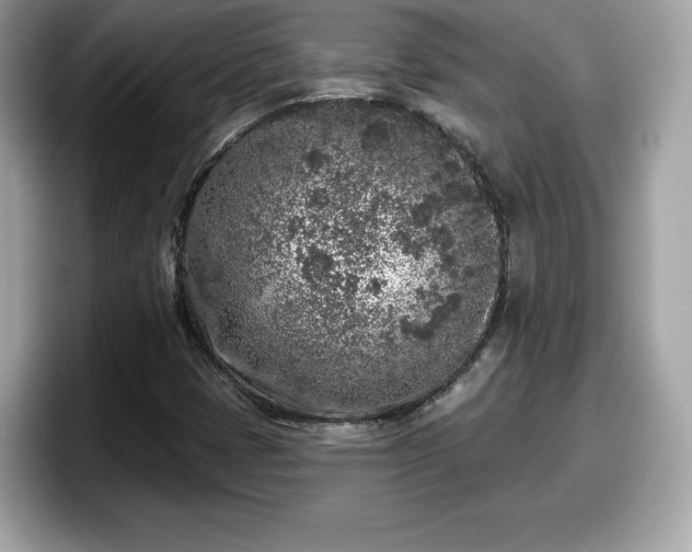 X0000098111401200804111046