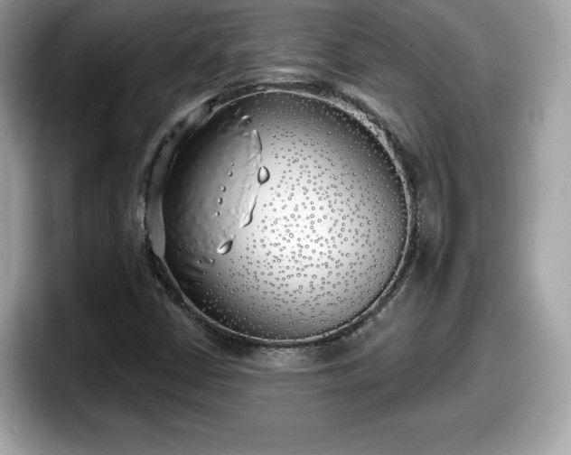 X0000098111402200804111046