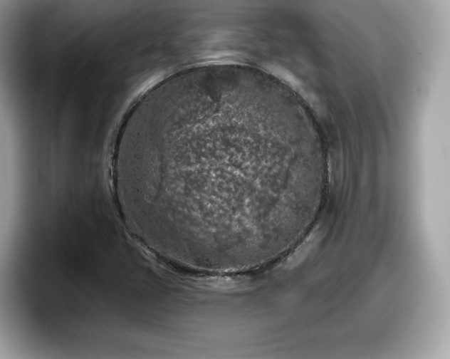 X0000098111405200804111046